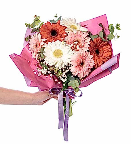 Gerbera kategori ikonu